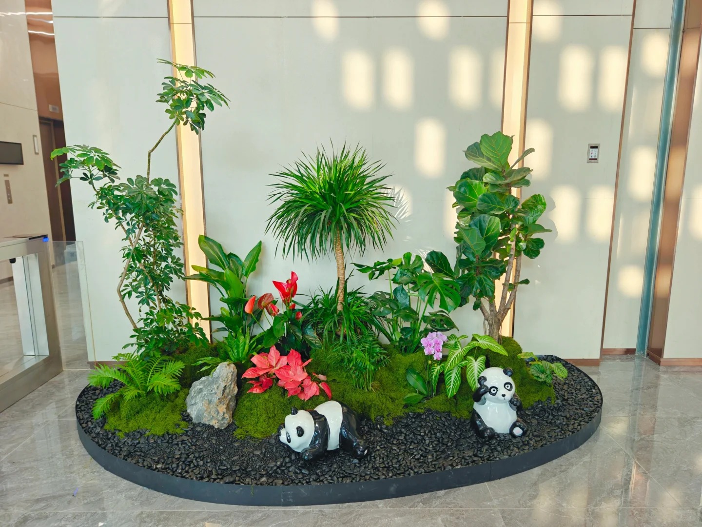 余姚植物租摆服务超出色，究竟藏着啥秘诀？